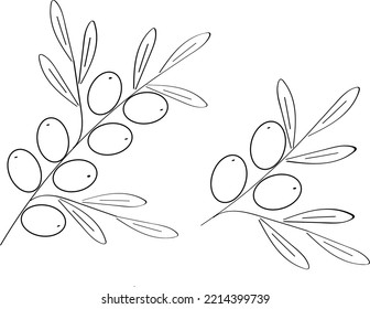 Set of sea buckthorn berries isolated on white background. For cosmetic, tea, packaging design, menu, label, cosmetics. Vector hand drawn illustration