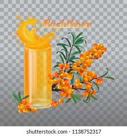 Set of sea buckthorn.  branch of sea-buckthorn. Glass. Transparent glass on a transparent background with juice.