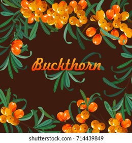 Set of sea buckthorn frame. background. Essential oil, branch of seauckthorn with leaves. 