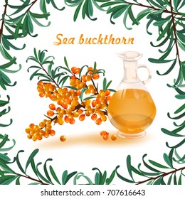 Set of sea buckthorn isolated on white background. Essential oil, branch of sea-buckthorn with leaves and oil texture