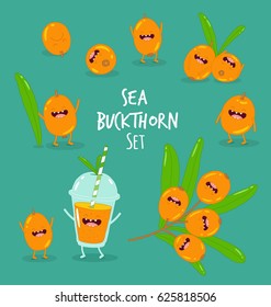 Set of sea buckthorn smoothies and berry. Comic characters. Vector cartoon. Use for the menu, in the shop, in the bar, the card or stickers. Easy to edit.