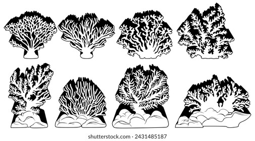 Set sea corals icon monochrome design vector illustration