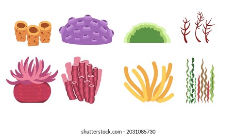 Set of sea corals, plants and algae. Underwater world. Aquarium or pond. Summer water. Isolated on white background. Illustration in cartoon style. Flat design. Vector art.