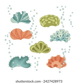 set of sea corals, vector image, elements for a composition in a marine style