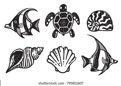 A set of sea creature icons - shells, fish and turtles. Hand drawn vector illustration. 