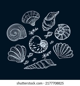 Set of sea creatures in a circle, hand-drawn in sketch style. Circle frame with seashells, seaweed and small fish. Summer greeting card on dark background. 