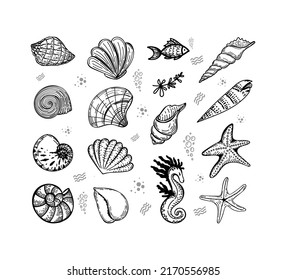 Set of sea creatures, hand-drawn in sketch style. Shells, seaweed, fish, starfish and seahorse. Summer greeting card. 