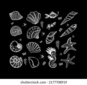 Set of sea creatures, hand-drawn in sketch style. Shells, seaweed, fish, starfish and seahorse. Sea animals. Sea. Ocean. Isolated vector on black background. 