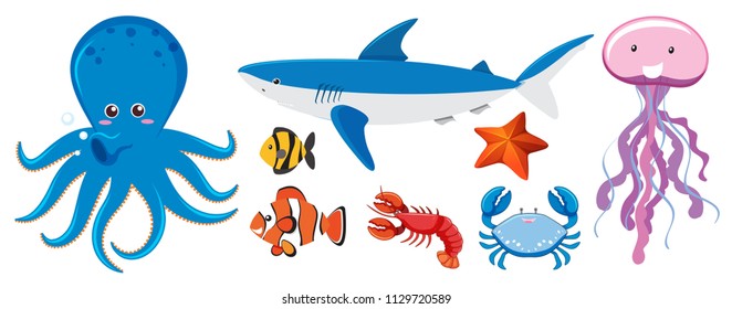 A Set of Sea Creatures illustration