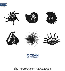 set of sea creatures and shells , isolated on white