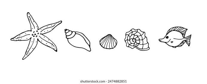 Conjunto de ilustraciones de garabatos marinos. Dibujo de Vector blanco y negro de conchas, peces y estrellas de mar aislados sobre fondo blanco. Recuerdos del viaje.