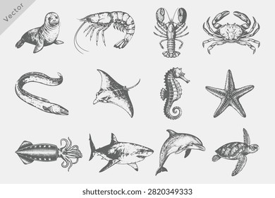set of sea elements in Hand drawn sketch style illustration. marine animals set including Sea Turtle, Dolphin, Shark, Jellyfish, Starfish, Seahorse, Eel, Crab, Shrimp in Vintage engraving style 