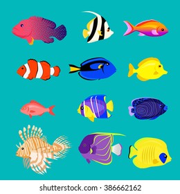 Set of sea fish color design flat. Ocean animal, nature cartoon wildlife aquarium, underwater life, exotic drawing marine fauna illustration