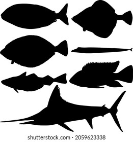 Set of sea fish. Dorado, flounder, swordfish, saber fish, tilapia, hake. Vector image.