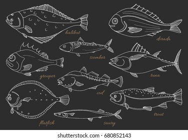 Set of sea fish on black background. Perch, cod, mackerel, flounder, saira, tuna, dorado, halibut, trout. Vector doodle. Seafood, sketch. Illustration isolated and grouped for easy editing. 