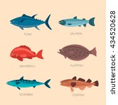 Set of sea fish: scomber, codfish, flatfish, sea perch, salmon, tuna. Fish vector set in flat style design. Ocean, sea fish icons collection isolated. Cute cartoon flat sea fishes.