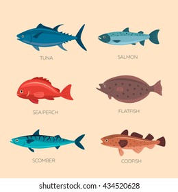 Set Of Sea Fish: Scomber, Codfish, Flatfish, Sea Perch, Salmon, Tuna. Fish Vector Set In Flat Style Design. Ocean, Sea Fish Icons Collection Isolated. Cute Cartoon Flat Sea Fishes.