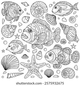 Set of sea fish and sea shells.Coloring book antistress for children and adults. Illustration isolated on white background.Zen-tangle style. Hand draw