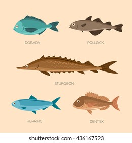 Set of sea fish: sea trout, capelin, burbot, haddock, milkfish, hake. Fish vector set in flat style design. Ocean, sea fish icons collection isolated. Cute cartoon flat sea fishes.