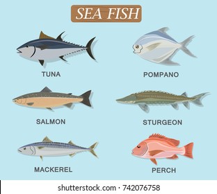 Set of sea fish tuna pompano salmon mackerel sturgeon perch flat vector food. sea fish tuna pompano salmon mackerel sturgeon perch. tuna pompano salmon mackerel sturgeon perch