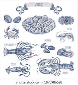 Set of sea food elements. Sketch in vintage style for sea food restaurant menu design. Monochrome linear drawing