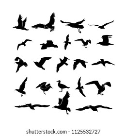 Set of sea gull, seabird flying black silhouette. Freehand drawing. Drawing free flight group icon. Freedom print art. Vector illustration marine birds flock. Isolated on white background