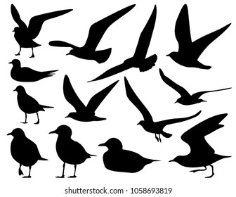 set of sea gull Silhouette, isolated
