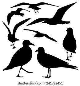 set of sea gull Silhouette, isolated 