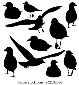 set of sea gull Silhouette, isolated 