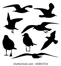 set of sea gull Silhouette, isolated