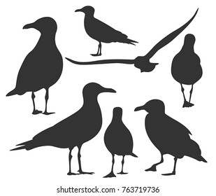 Set Of Sea Gull Silhouette, Isolated 