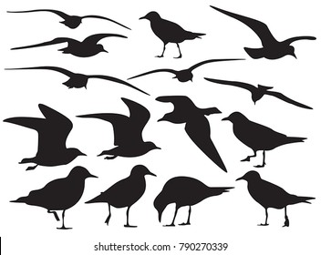set of sea gull Silhouette, isolated
