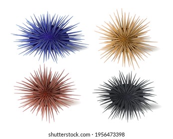 Set of sea hedgehogs or urchin of blue, red, yellow and black colors. Sea urchin illustration, drawing, engraving, ink, line art