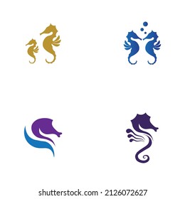 set of Sea Horse logo illustration design template