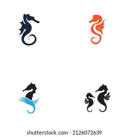 set of Sea Horse logo illustration design template