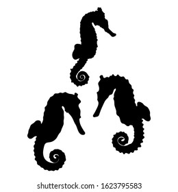 Set of sea horses silhouette. Wildlife. Nature. Simple elements for decoration