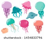 Set of sea jellyfish. Vector isolates jellyfish collection in cartoon style.