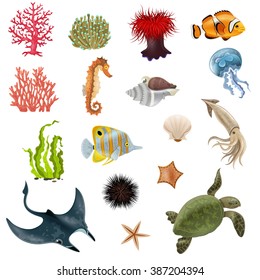 Set of sea life cartoon icons with fish coral seaweed shell  invertebrate vector illustration