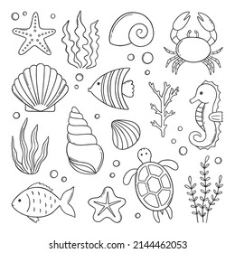 Set of sea life doodle. Underwater elements: shells, fish, corals and seaweed in sketch style. Hand drawn vector illustration isolated on white background.