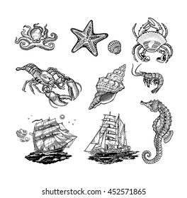 Iconos de vida del conjunto del mar, vectores en blanco y negro