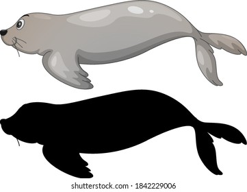 Set of sea lion characters and its silhouette on white background illustration