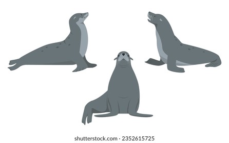 Set of sea lion or fur seal animals in different poses isolated on white background. Sea or ocean water mammal animal. Sealion icons. Vector flat or cartoon illustration.