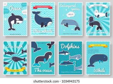Set of Sea mammals pattern concept. Art animal, magazine, book, poster, abstract, banners, element. Vector fish in ocean life package greeting card or invitation brochure design