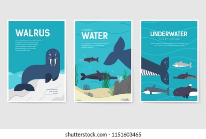 Set of Sea mammals pattern concept. Art animal, magazine, book, poster, abstract, banners, element. Vector fish in ocean life package greeting card or invitation brochure