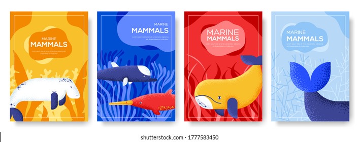 Set of Sea mammals pattern concept.Art animal, magazine, book, poster, abstract, banners, element.Fish in ocean life package greeting card invitation brochure design.Grain texture and noise effect. 