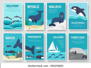 Set of Sea mammals pattern concept. Art animal, magazine, book, poster, abstract, banners, element. Vector fish in ocean life package greeting card or invitation brochure design