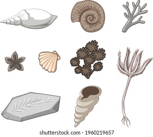 Ilustración aislada de objeto marino