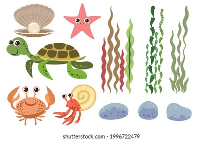 Set of sea objects: turtle, starfish, plants, stones, algae and bubbles. Underwater world. Aquarium or sea. Summer water. Illustration in cartoon style. Flat design. Vector art