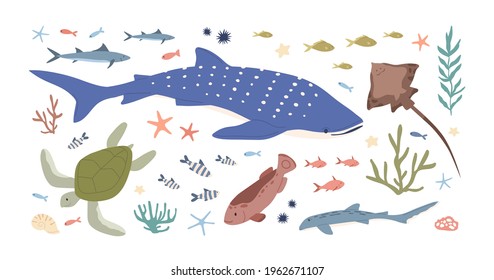 Set of sea and ocean habitats. Bundle of marine fishes, animals and plants. Small fry, whale shark, turtle, stingray, mackerel, algae and corals. Colored flat vector illustration isolated on white