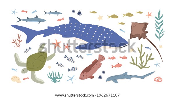 Set of sea and ocean habitats. Bundle of marine\
fishes, animals and plants. Small fry, whale shark, turtle,\
stingray, mackerel, algae and corals. Colored flat vector\
illustration isolated on\
white